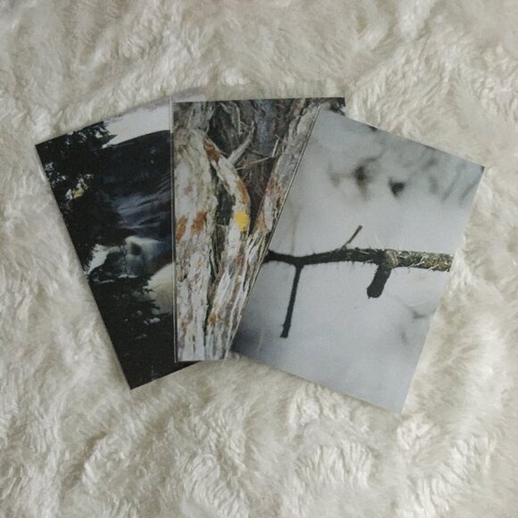 Four Canadian Winter Original Photographs Bark, Twigs, River - Picture 6 of 7
